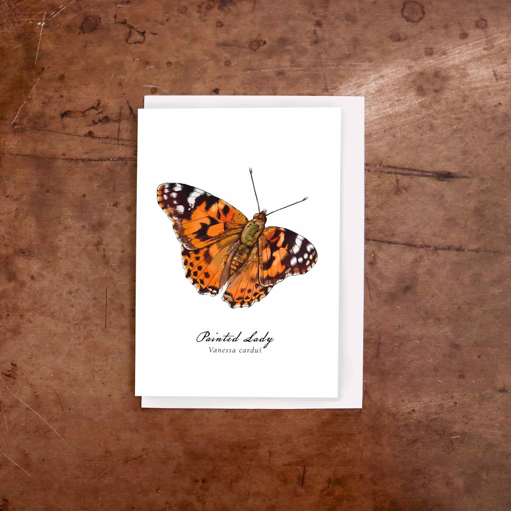 Painted lady butterfly greeting card
