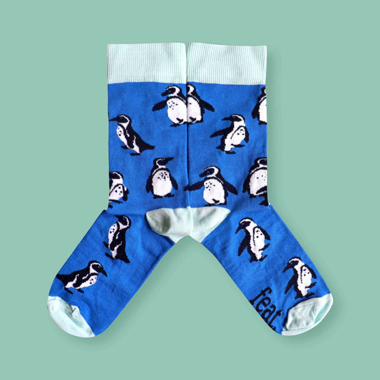 Ladies’ Penguins on Repeat socks | South Africa