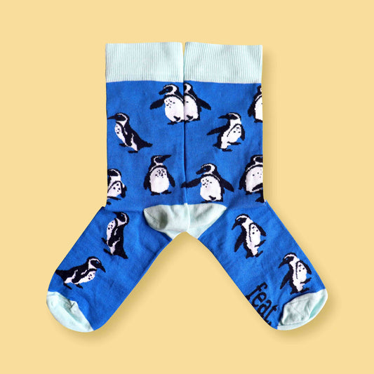 Men's Penguins on Repeat socks | South Africa