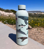 Sea Life CosyCore Flask 4