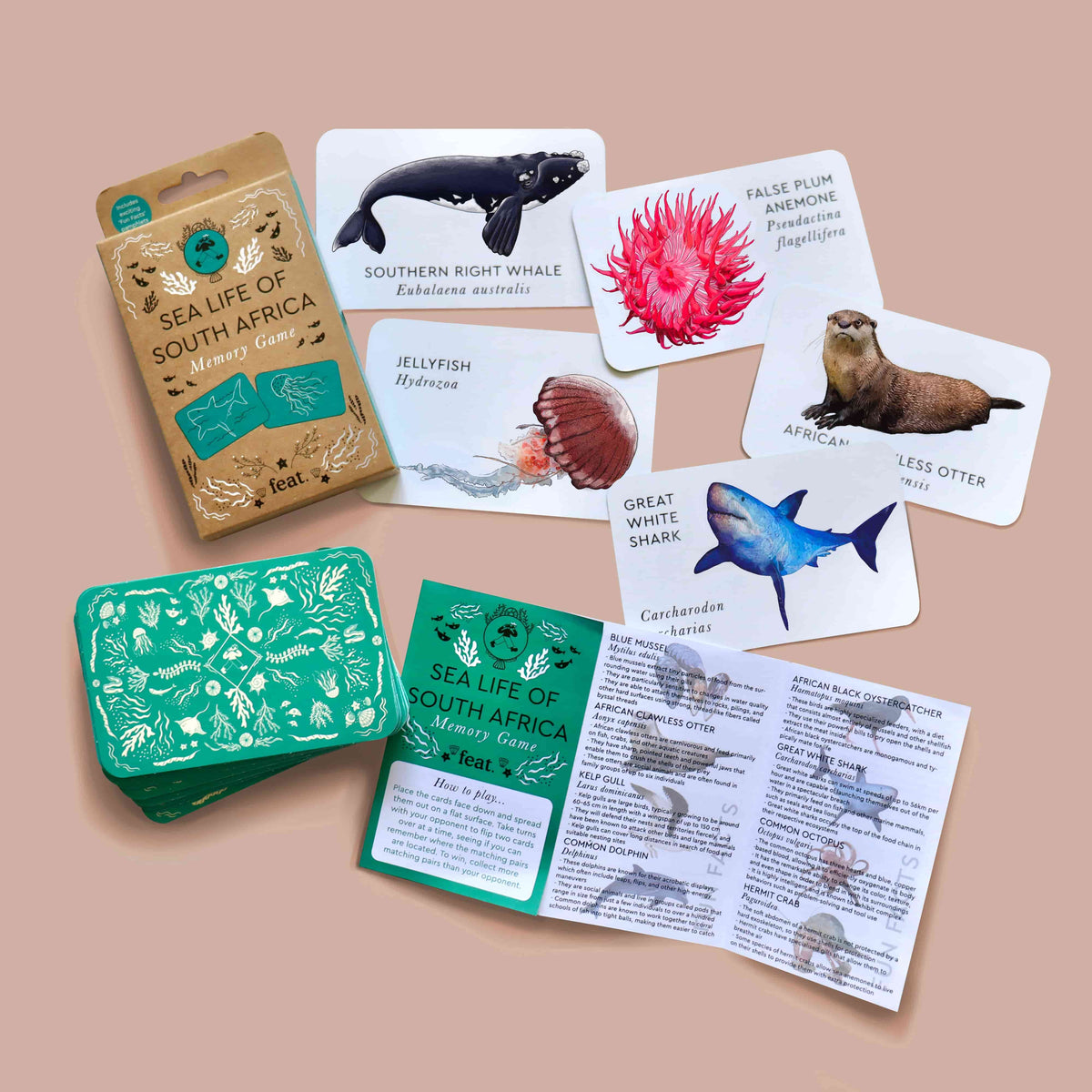 Sea life of South Africa Memory Game – Feat. Designer Goods