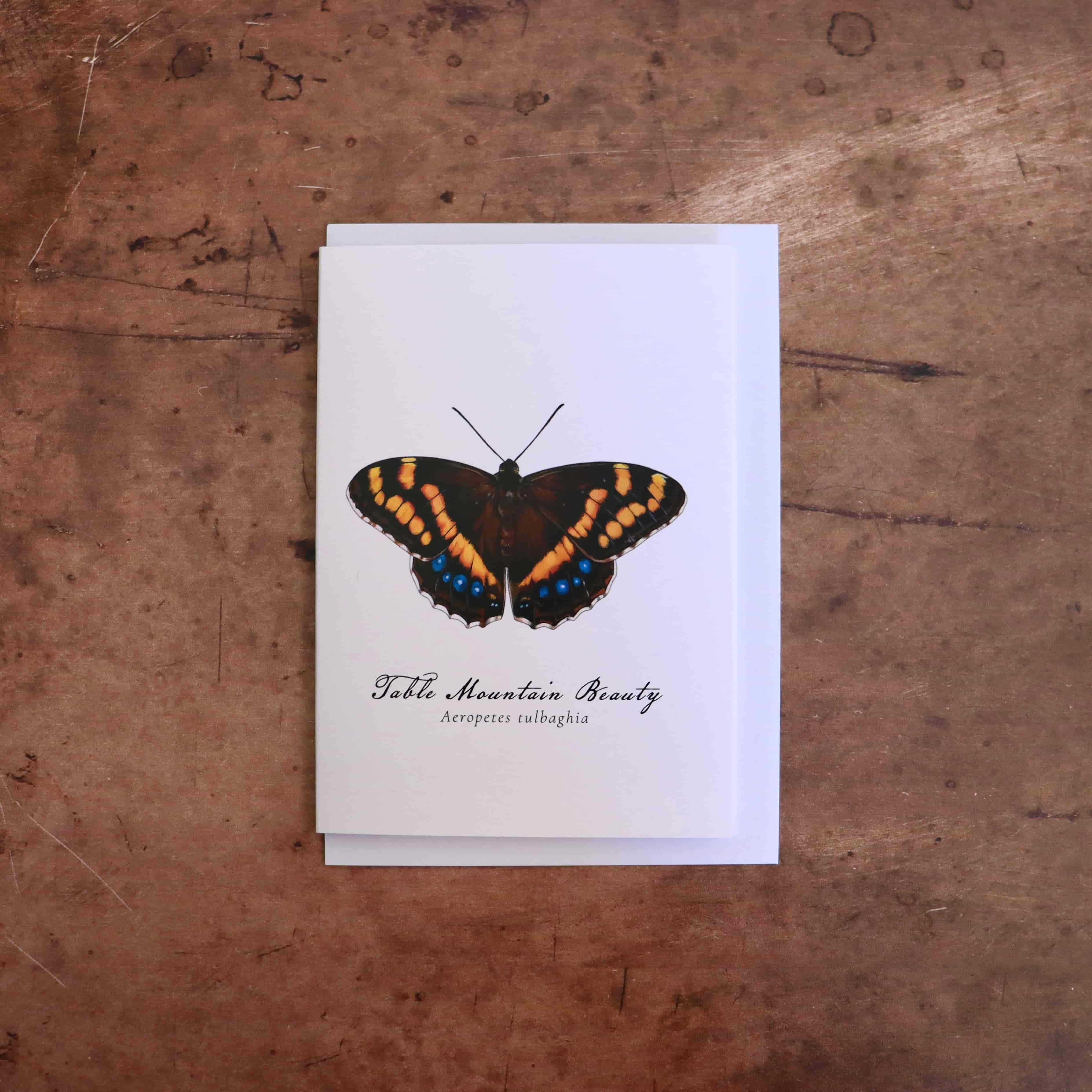 Table Mountain Beauty Butterfly Greeting Card
