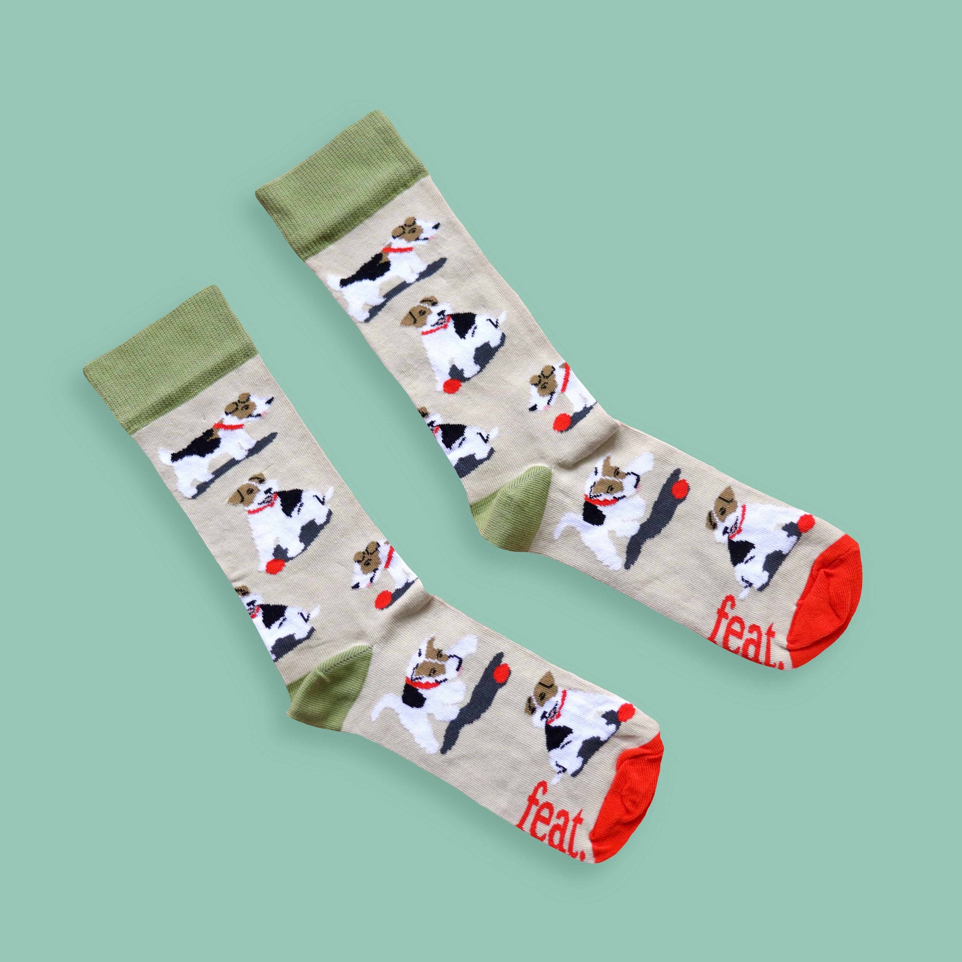 Teddie socks green background diagonal