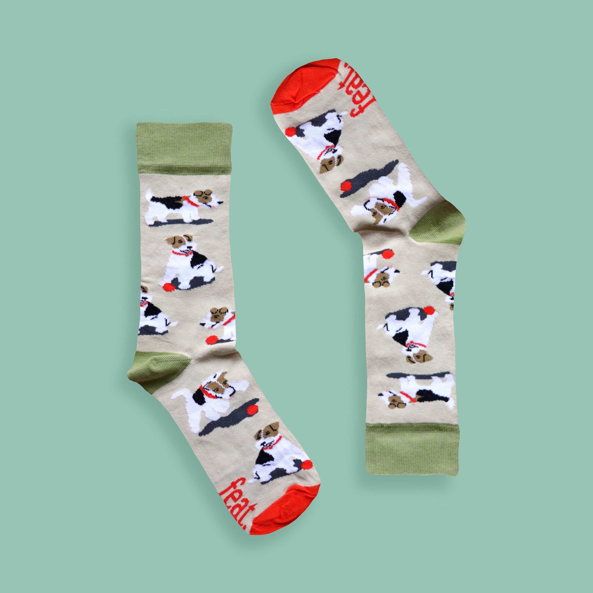 Teddie socks green background inverted
