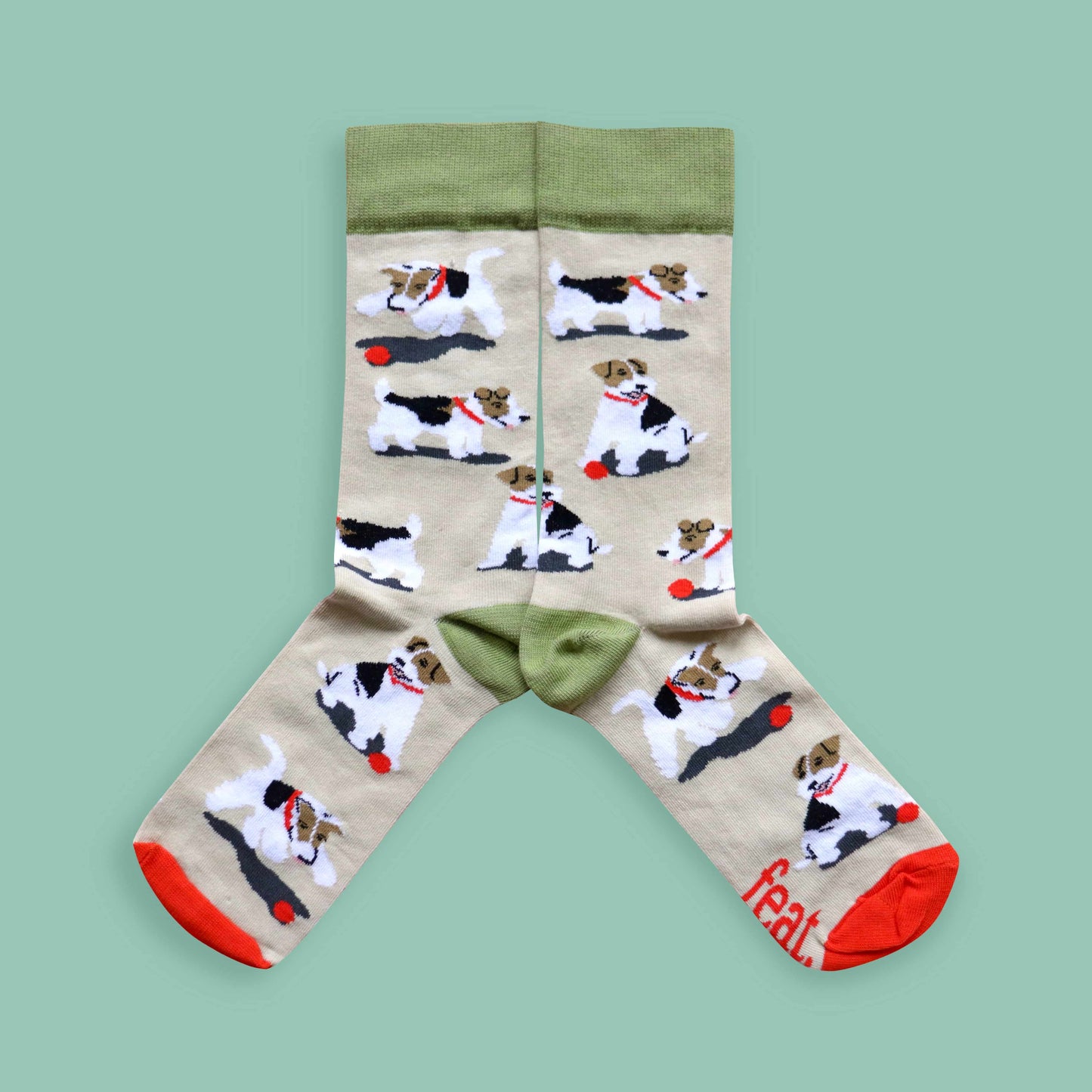 Teddie socks green background mirrored
