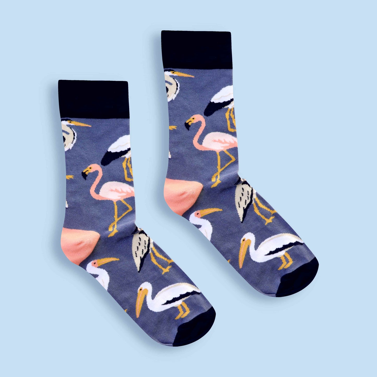 South African wetlands birds socks