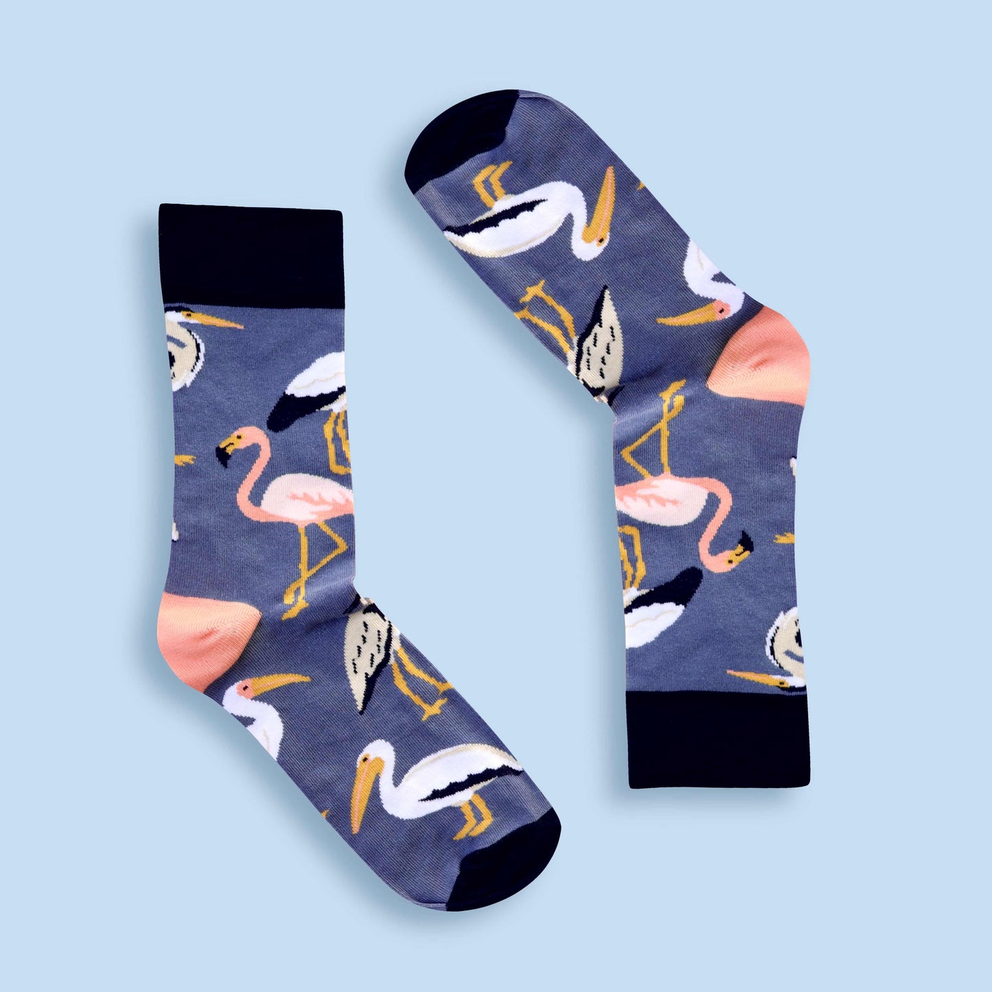 South African wetlands birds socks