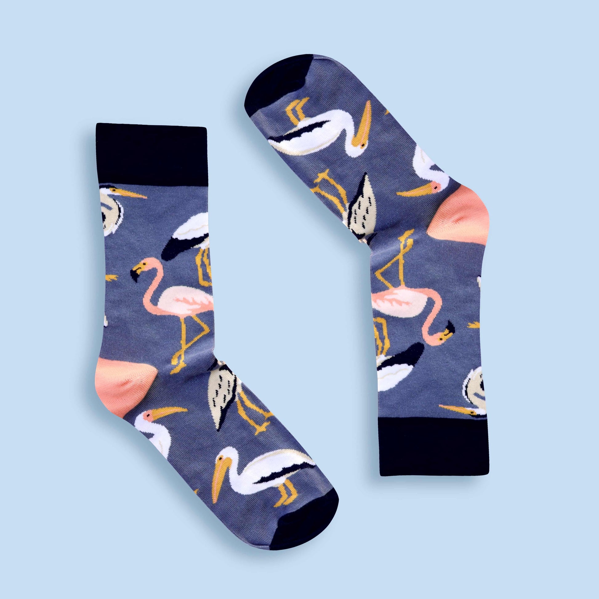 South African wetlands birds socks