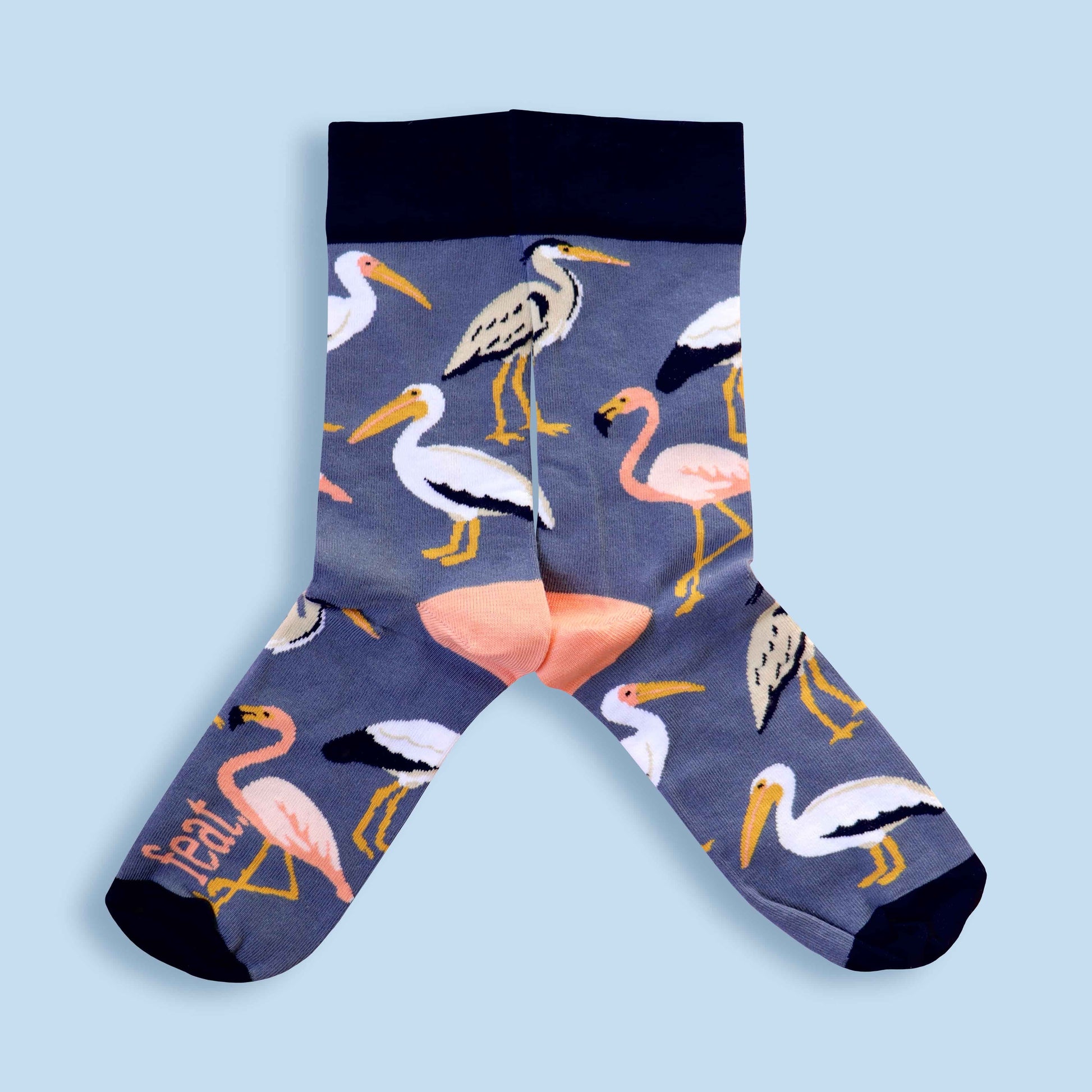 South African wetlands birds socks