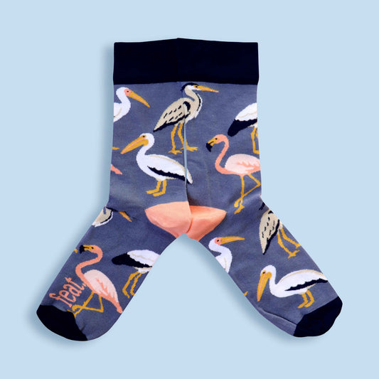 South African wetlands birds socks