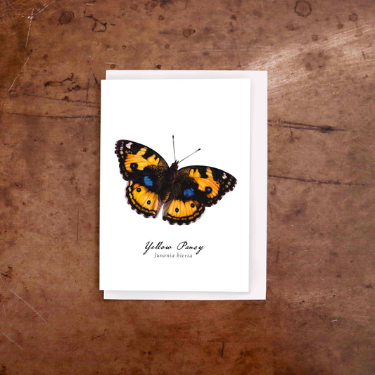 Yellow Pansy butterfly greeting card
