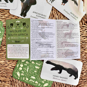 Wildlife of South Africa Memory Game