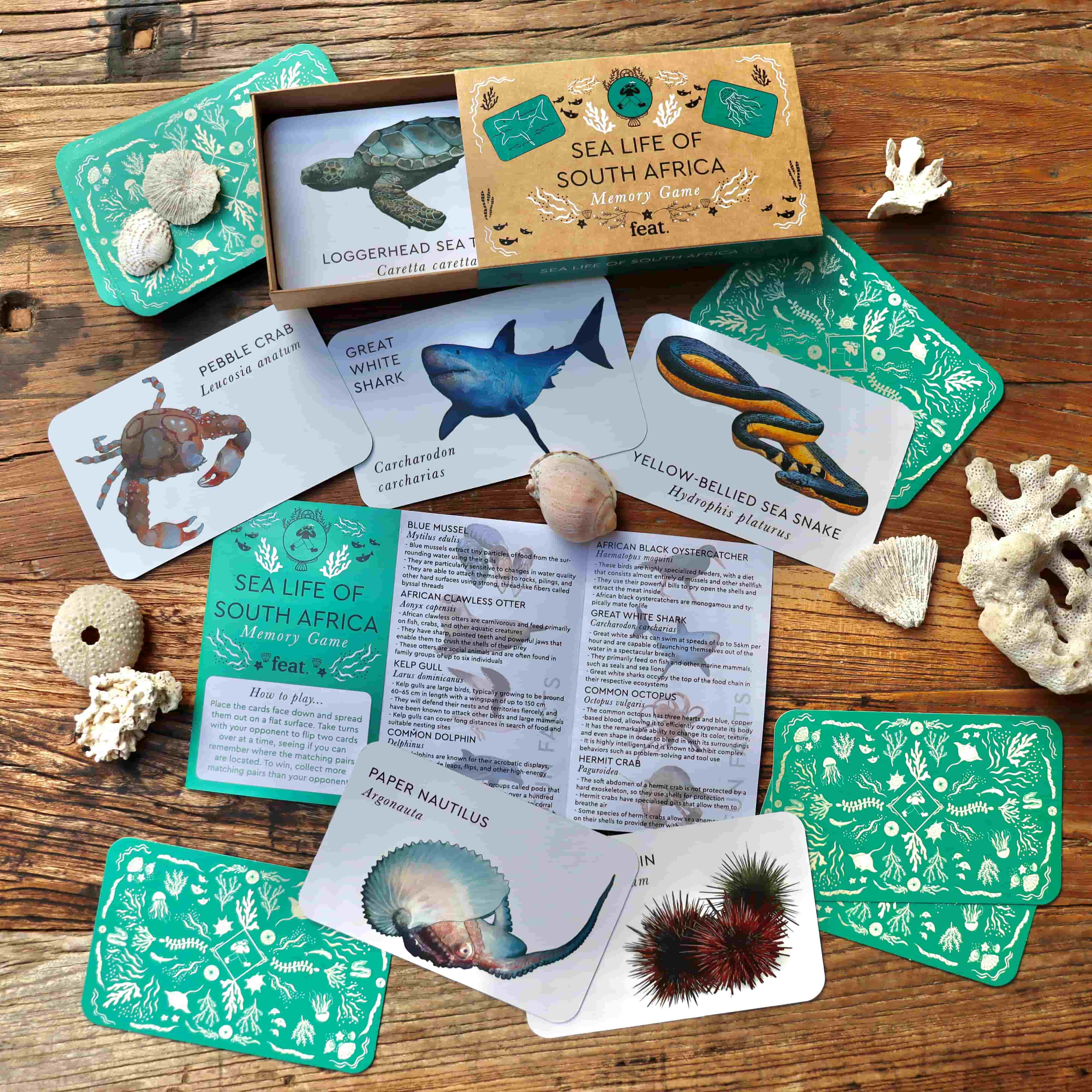 Sea life of South Africa Memory Game