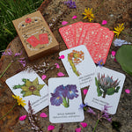 Flowers of South Africa Memory Game