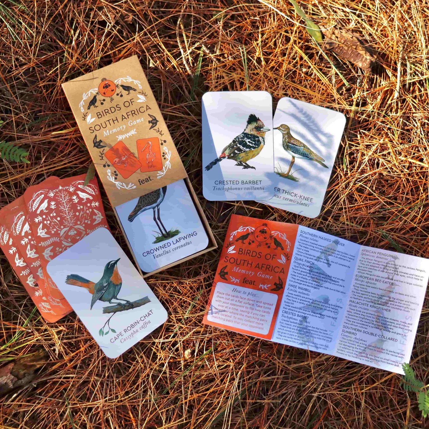 South African Bird Memory Card Game