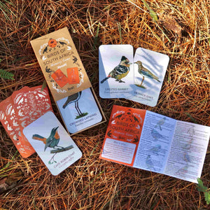 Birds of South Africa Memory Game
