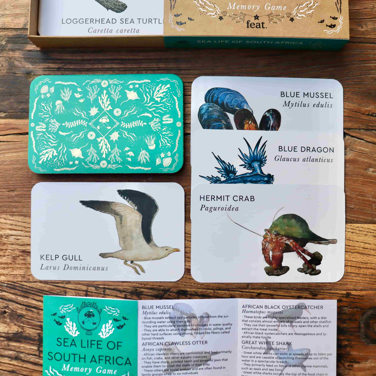 Sea life of South Africa Memory Game – Feat. Designer Goods