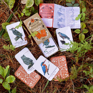 Birds of South Africa Memory Game