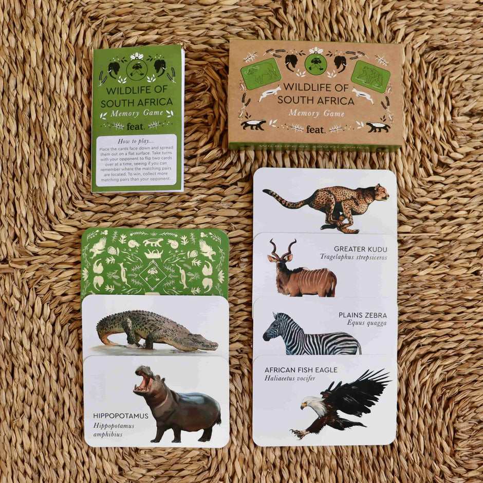 South African Memory Games | Memory Match – Feat. Designer Goods
