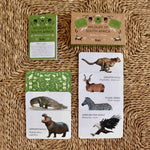 Wildlife of South Africa Memory Game