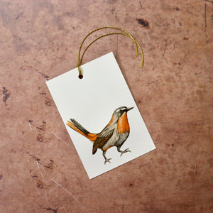 Birdwatching Gift Tags