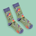 Men's Cape Robin-chat socks