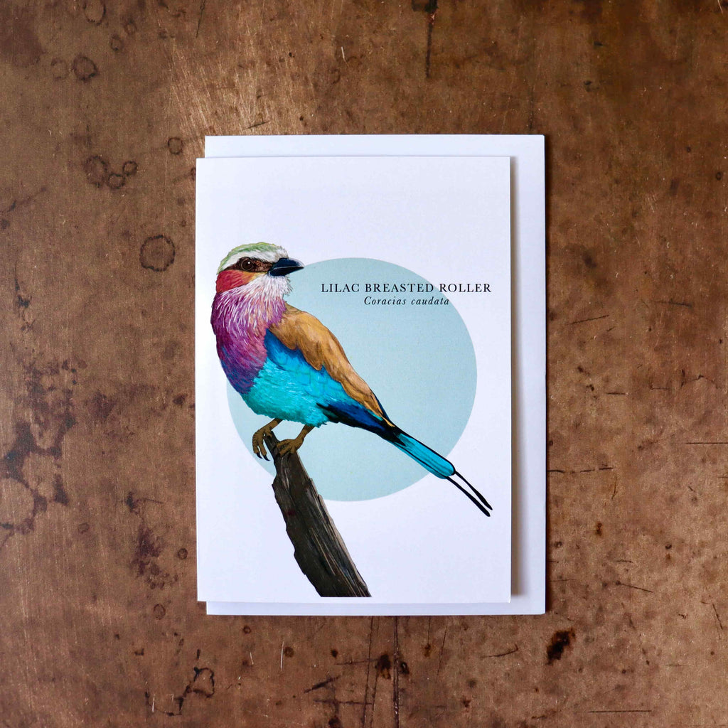 Lilac Breasted Roller Greeting Card