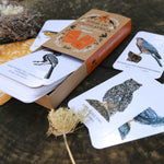 Birds of South Africa Memory Game