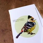 Crested Barbet Greeting Card